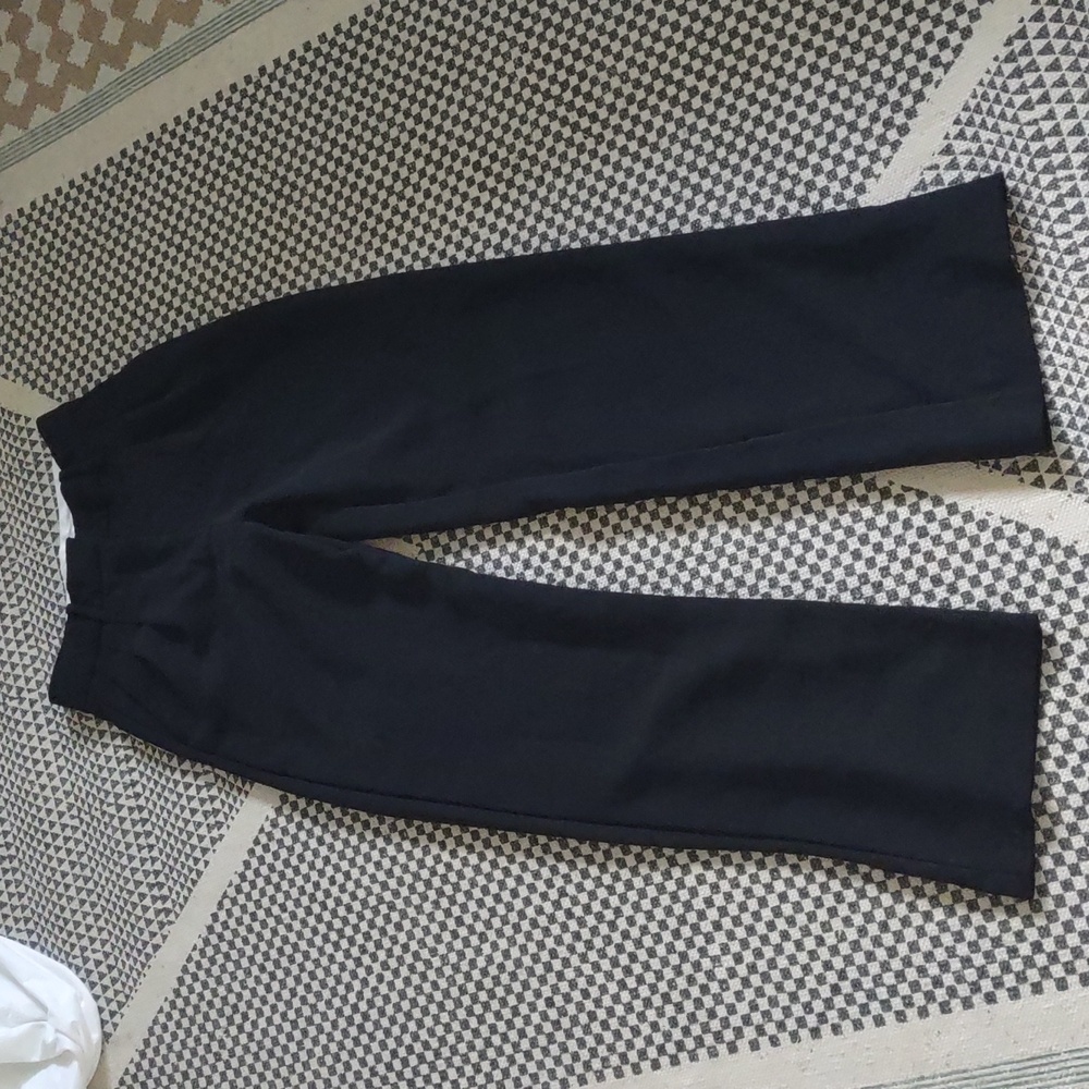 Aritzia Wilfred effortless pants black